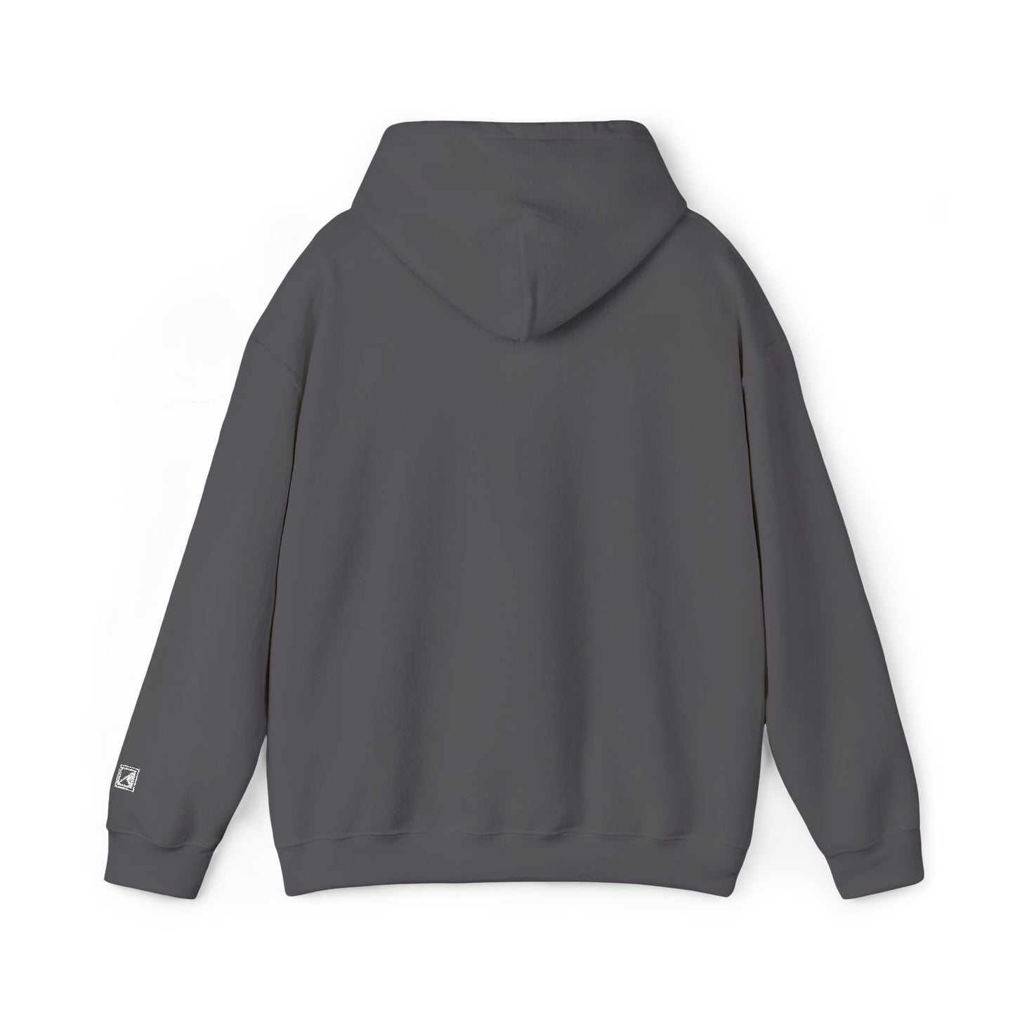 MAINICHI HOODIE
