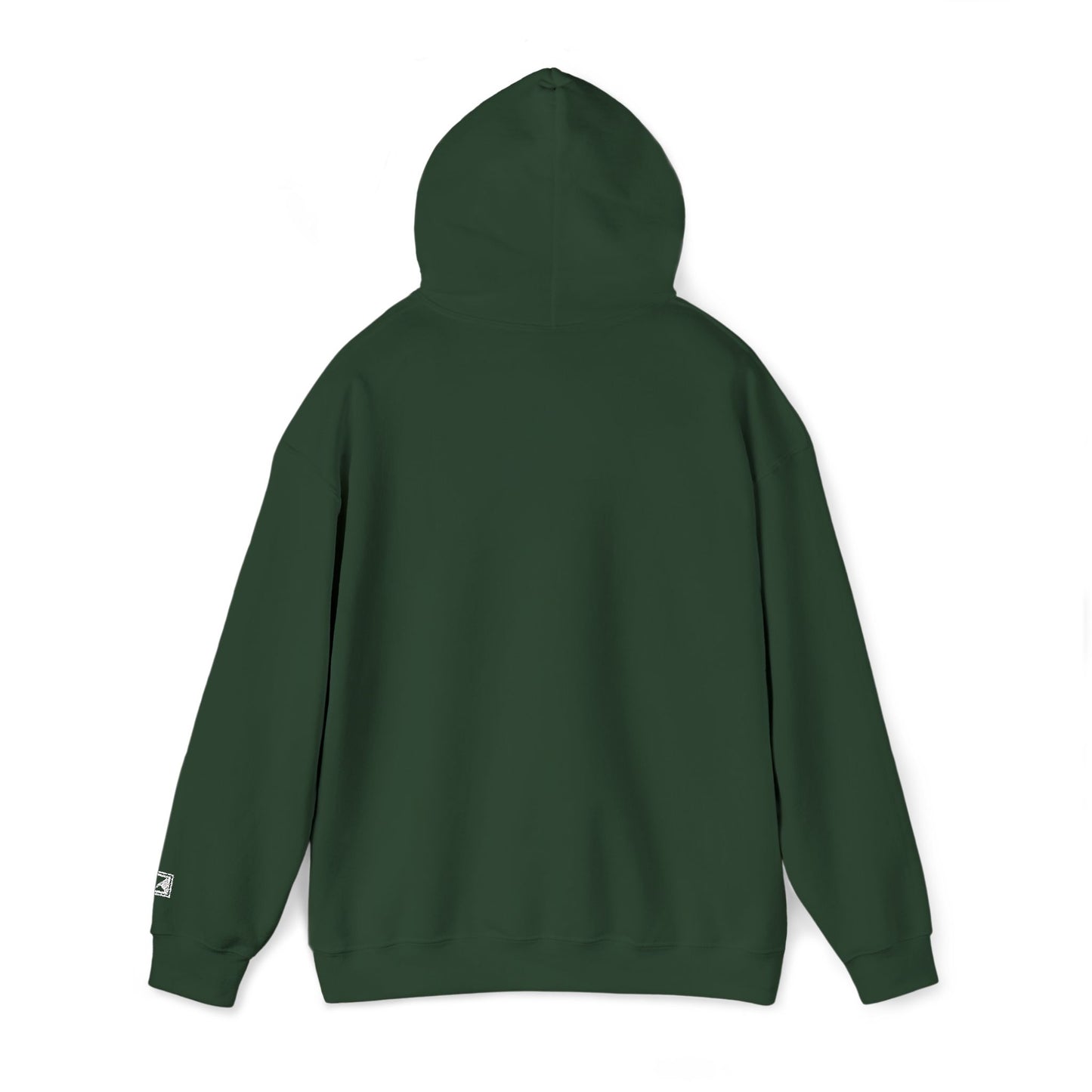 MAINICHI HOODIE