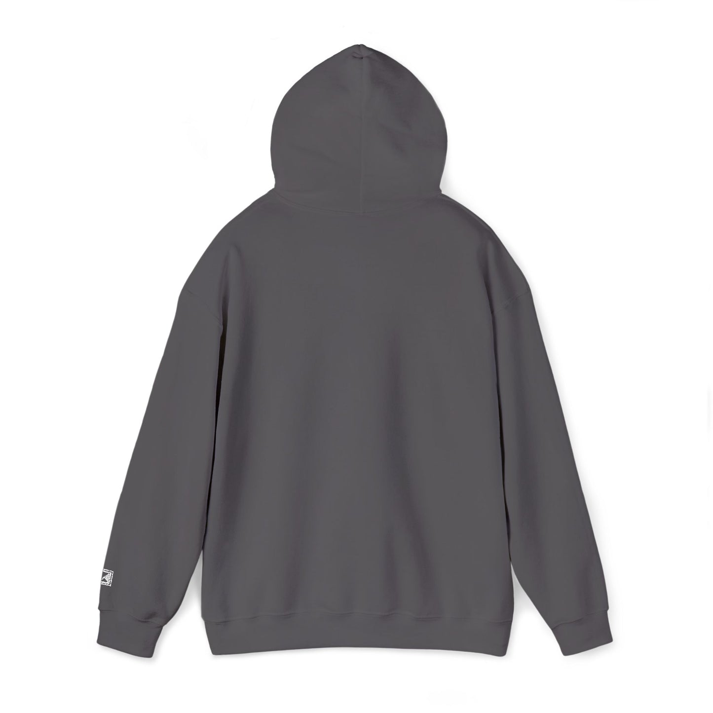 MAINICHI HOODIE